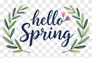 Hello Spring Floral Wreath PNG