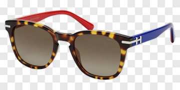 Stylish Sunglasses With Colorful Temples PNG