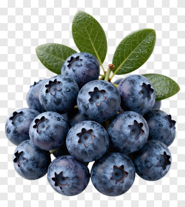 Fresh Blueberries With Green Leaves PNG
