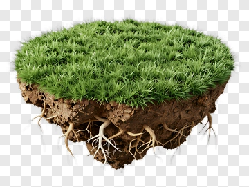 Floating Grass Island With Exposed Roots PNG