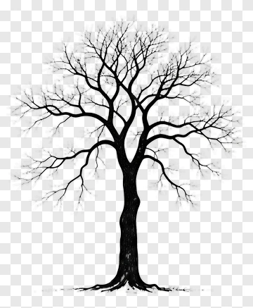 Black Tree With No Leaves PNG