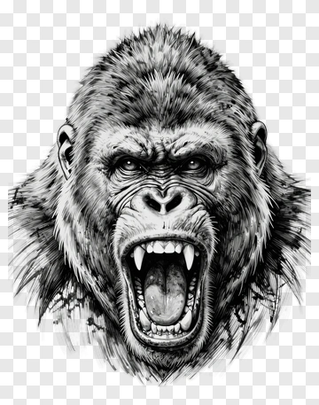 Angry Gorilla Head Illustration PNG