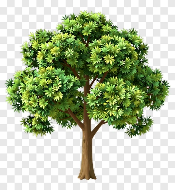 Colorful Tree PNG