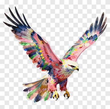 Colorful Watercolor Eagle In Flight PNG