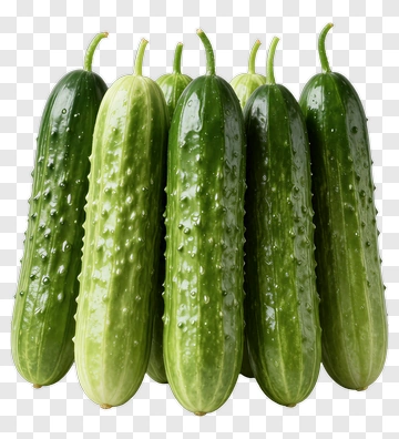 Fresh Cucumbers PNG