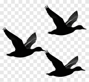 Silhouette Ducks Flying Together PNG