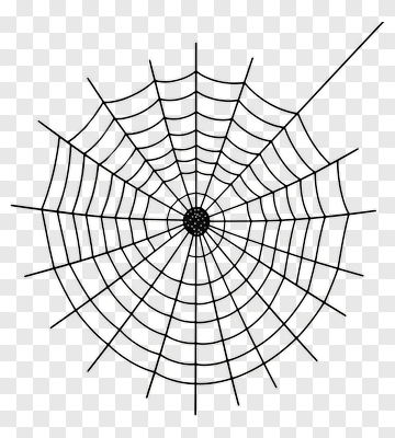 Spider Web PNG