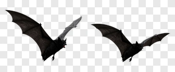 Flying Black Bat PNG