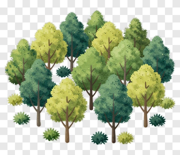 Colorful Tree Forest PNG
