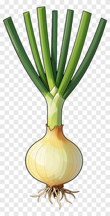 Cartoon Green Onion PNG