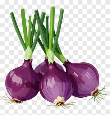Purple Onions With Green Stems PNG