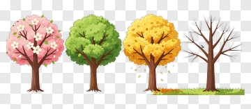Colorful Tree Illustrations Through Seasons PNG