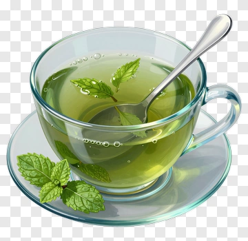 Cup Of Green Tea With Mint Leaves PNG