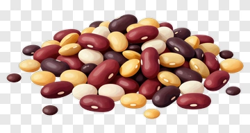 Colorful Assorted Beans PNG