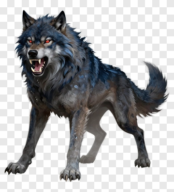 Angry Wolf With Dark Fur PNG