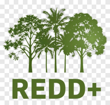 Redd+ Environmental Concept With Trees PNG