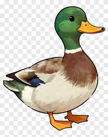 Cartoon Duck PNG