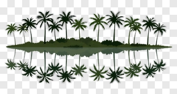Island With Palm Trees Reflection PNG