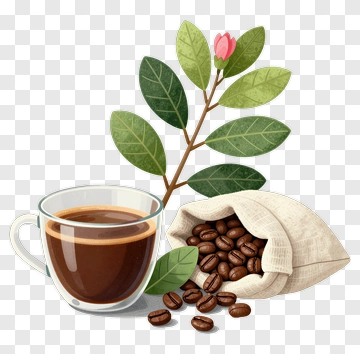 Coffee Cup With Coffee Beans And Leaves PNG