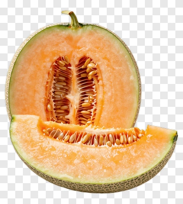 Fresh Cantaloupe Slice PNG