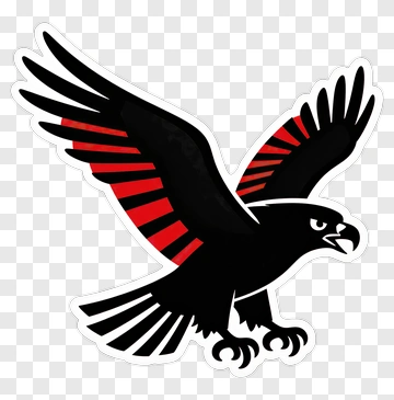 Black Hawk With Red Accents PNG