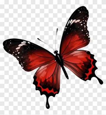 Red Butterfly With Black Wings PNG