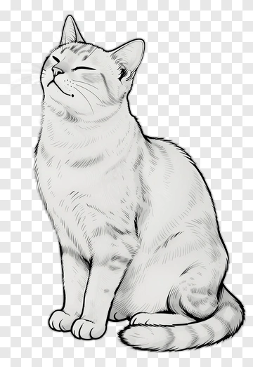 Sitting Cat With Closed Eyes PNG