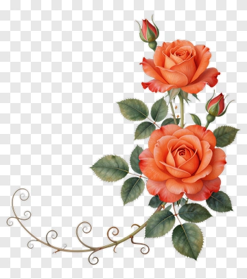 Orange Roses With Green Leaves PNG