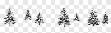 Snow-Covered Pine Trees PNG